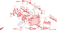 RADIATOR (L.) (VTR1000SP2 /3/4/5/6) for Honda VTR 1000 SP2 2005