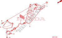REAR FENDER for Honda LEAD 110 2010