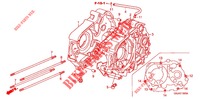 CRANKCASE (C505/7) for Honda SUPER CUB 50 DELUXE 2005