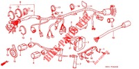 WIRE HARNESS (CA250TF/TG/TH/TJ) for Honda REBEL 250 SPECIAL 1985