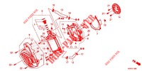 RADIATOR for Honda SH 150 ABS D 4ED 2020