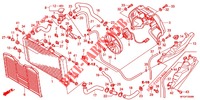 RADIATOR   for Honda CB 600 F HORNET ABS 34HP 2011