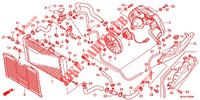 RADIATOR   for Honda CB 600 F HORNET 34HP 2011