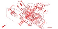 CYLINDER HEAD  (AVANT) for Honda VFR 1200 DCT 2013