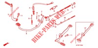 KICK STARTER ARM   BRAKE PEDAL   GEAR LEVER for Honda POP 100 BR 2009