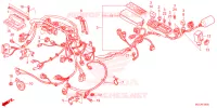 WIRE HARNESS for Honda CBR 600 RR 2023