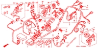WIRE HARNESS for Honda 50 LIVE DIO ZX LIMITED 2000