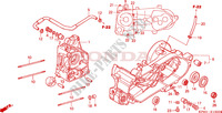 CRANKCASE for Honda JAZZ 250 -ED- 2001