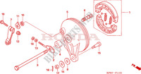 REAR BRAKE PANEL (ANF1256/7/T6) for Honda INNOVA 125 2009