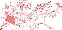 RADIATOR (CBR125R/RS/RW5/RW6/RW8) for Honda CBR 125 REPSOL 2005