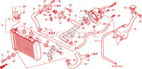 RADIATOR for Honda CBR 125 TRICOLOUR 2010