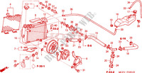 RADIATOR (R.) (VTR1000SP2 /3/4/5/6) for Honda VTR 1000 SP2 2006