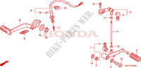 PEDAL for Honda CB 600 F HORNET STRIPES 2009