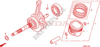 CRANKSHAFT for Honda TRX 250 FOURTRAX RECON Standard 2011