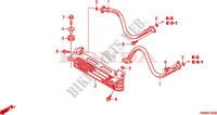 OIL COOLER for Honda TRX 250 FOURTRAX RECON Electric Shift 2010