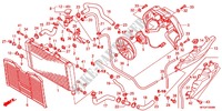 RADIATOR for Honda CB 600 F HORNET ABS WHITE 34HP 2012