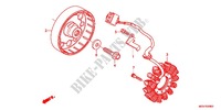 LEFT CRANKCASE COVER   ALTERNATOR (2) for Honda CBR 600 F ABS 2012