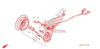 LEFT CRANKCASE COVER   ALTERNATOR (2) for Honda CRF 250 X 2012
