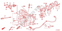 CYLINDER   HEAD for Honda SH 300 ABS BRONZE 2012