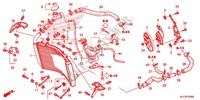 RADIATOR for Honda CBR 600 RR ABS HRC 2015