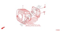 CYLINDER for Honda CRF 110 2013