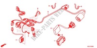 WIRE HARNESS/BATTERY for Honda CRF 250 X 2013
