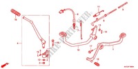 PEDAL (GLH1251SH/2SH/3SH) for Honda STORM 125 DISCO DELANTERO 2012