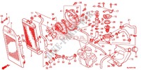 RADIATOR (VT750C/C2S/CA/CS) for Honda SHADOW VT 750 SPIRIT S 2013