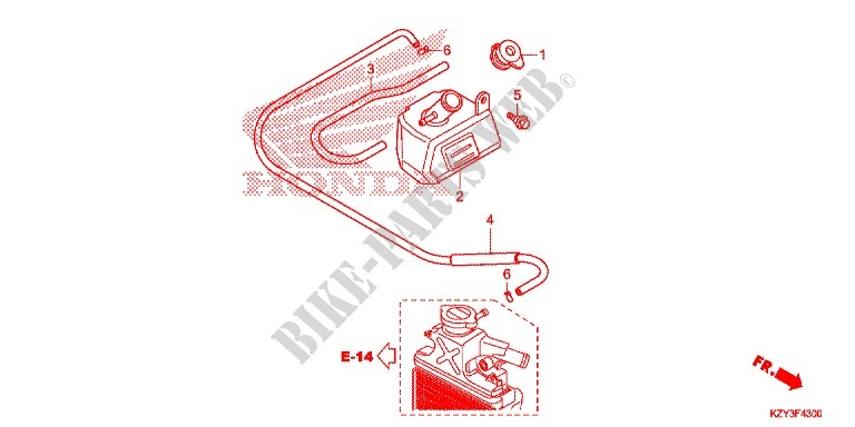 EXPANSION TANK for Honda PCX 150 2012