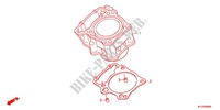 CYLINDER for Honda CBR 250 R ABS TRICOLORE 2011