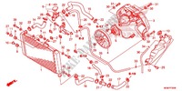 RADIATOR for Honda CB 600 F HORNET ABS 2013