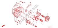 GEARBOX for Honda SCR 110 2014