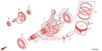 CRANKSHAFT for Honda FOURTRAX 500 FOREMAN RUBICON RED 2016