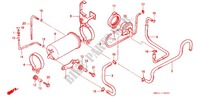 AIR INJECTION SYSTEM (AC) for Honda NX 250 1989