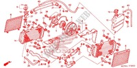 RADIATOR for Honda VFR 800 INTERCEPTOR ABS 2007