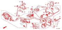 WIRE HARNESS (Z50J9,B,C,E) for Honda MONKEY 50 LIMITED 2012