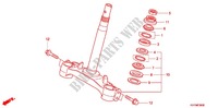 STEERING STEM for Honda ANC 110 ICON LIMITED EDITION 2011