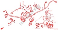 WIRE HARNESS (AFP110MCSB/C/D) for Honda WAVE DASH 110 S, Electric start, rear brake drum 2012
