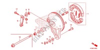 REAR BRAKE PANEL   SHOES for Honda FUTURE 125 Casted wheels, Rear brake drum 2013