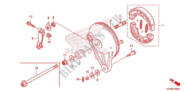 REAR BRAKE PANEL   SHOES for Honda FUTURE 125 Casted wheels, Rear brake drum 2014