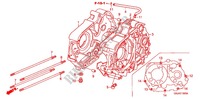 CRANKCASE (C505/7) for Honda SUPER CUB 50 STANDARD 2007