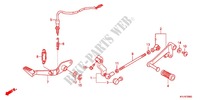 PEDAL for Honda CBR 250 R ABS TRICOLORE 2012