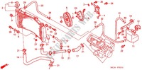 RADIATOR (CBR900RR'02,'03) for Honda CBR 954 RR 2002