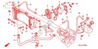 RADIATOR (CBR900RR'00,'01/RE'01) for Honda CBR 900 RR 2000