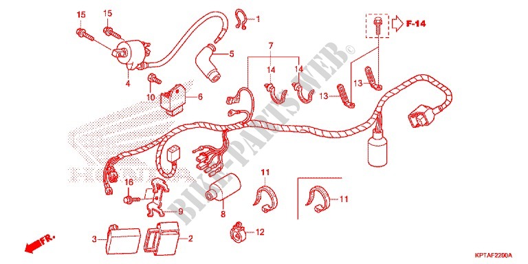 WIRE HARNESS/BATTERY for Honda CRF 150 F 2012