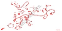 WIRE HARNESS/BATTERY for Honda CRF 230 F 2008