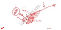LEFT CRANKCASE COVER   ALTERNATOR (2) for Honda CRF 450 R 2011
