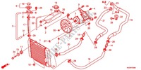 RADIATOR for Honda FORZA 250 Z SPECIAL EDITION 2012