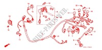 WIRE HARNESS (SZ50P/R/T) for Honda TACT 50 RED 1996