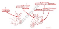STICKERS (SZ50MK 2) for Honda TACT 50 STAND UP 1989